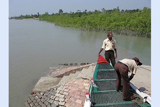 Viaggio in India 2008 - Sunderbans